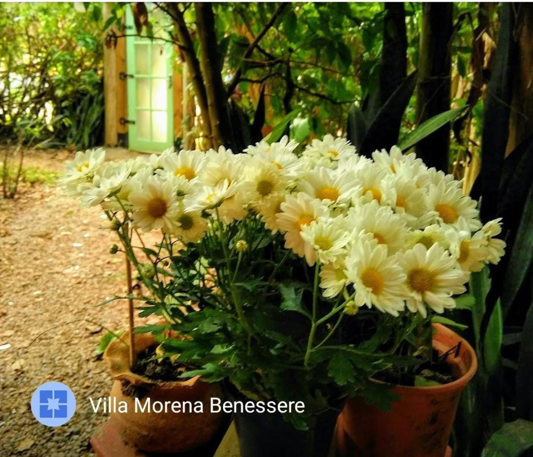 Villa Morena Benessere Florianópolis Zewnętrze zdjęcie