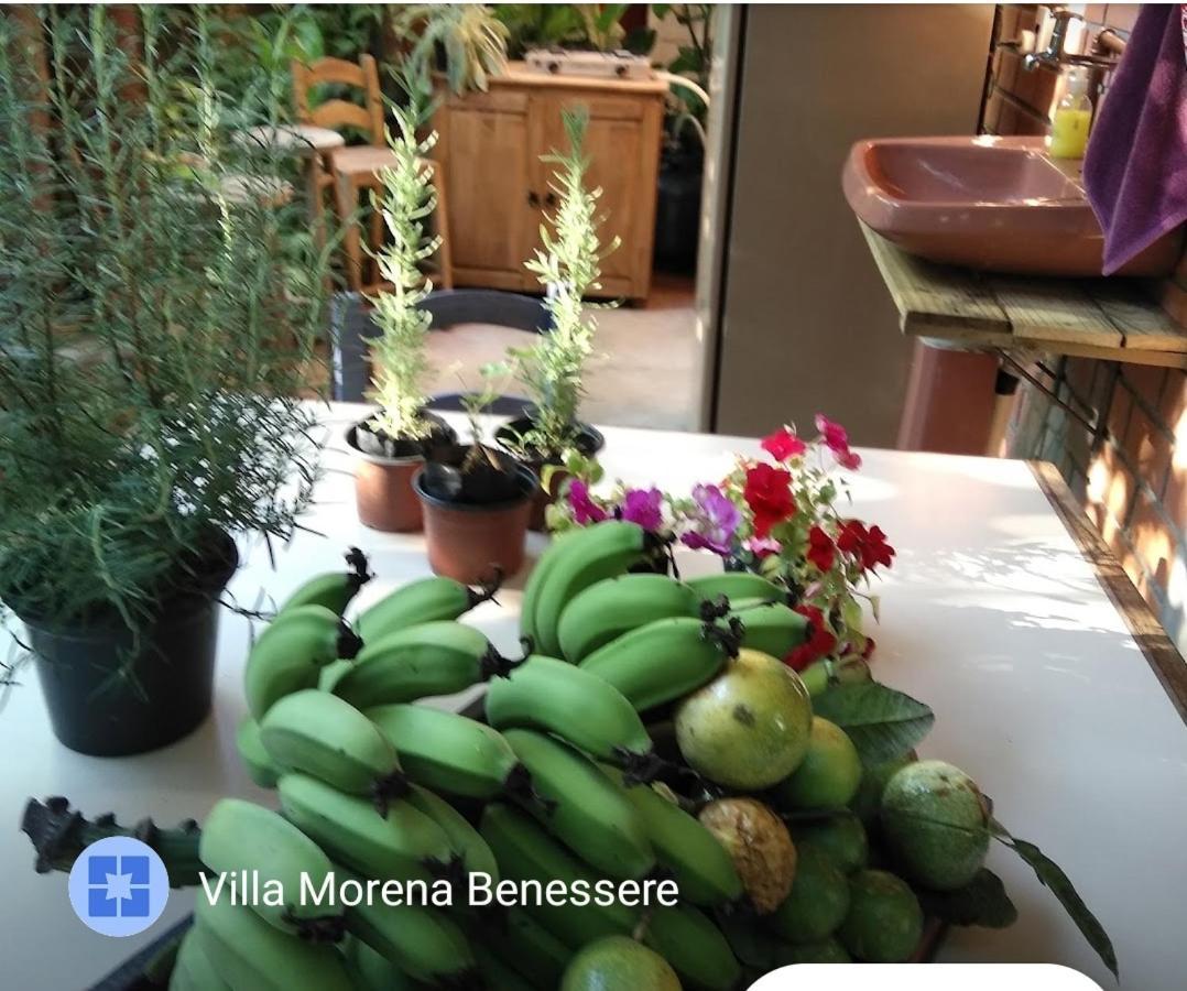 Villa Morena Benessere Florianópolis Zewnętrze zdjęcie