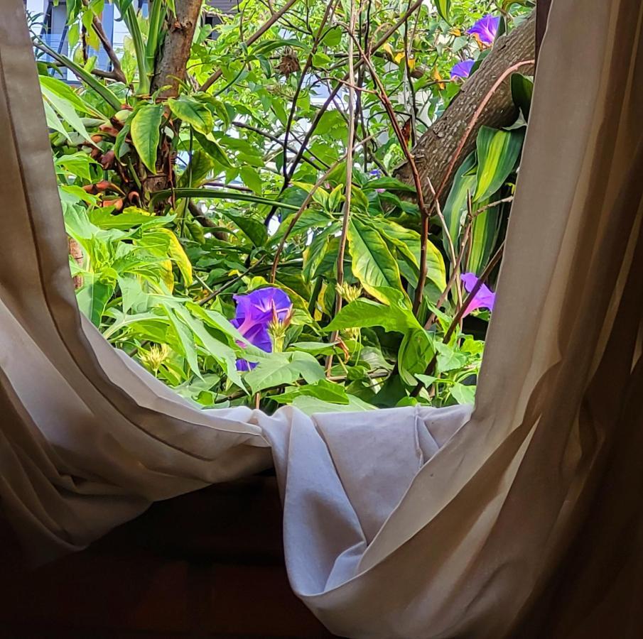 Villa Morena Benessere Florianópolis Zewnętrze zdjęcie